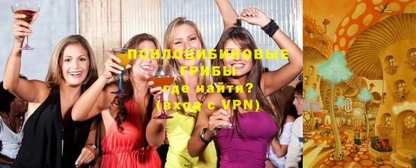 спайс Корсаков