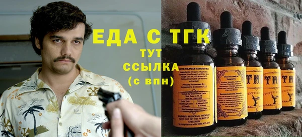 спайс Корсаков