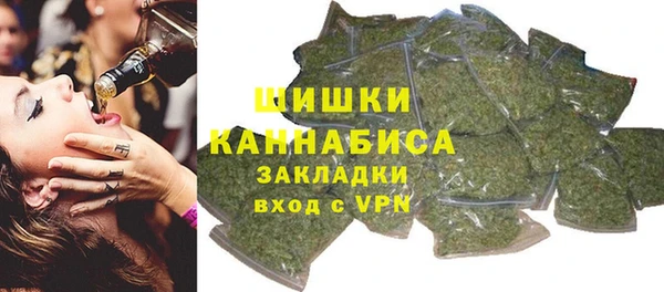 спайс Корсаков