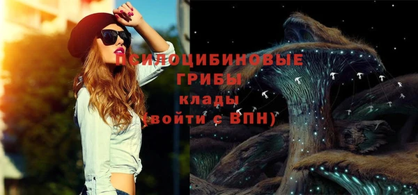 спайс Корсаков