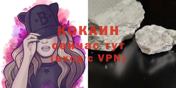 спайс Корсаков