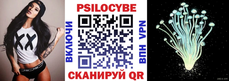 Купить где  Каргополь  Галлюциногенные грибы Cubensis 