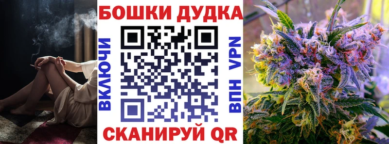 Купить где  Каргополь  МАРИХУАНА SATIVA & INDICA 